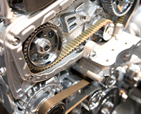 False Color Timing Belt